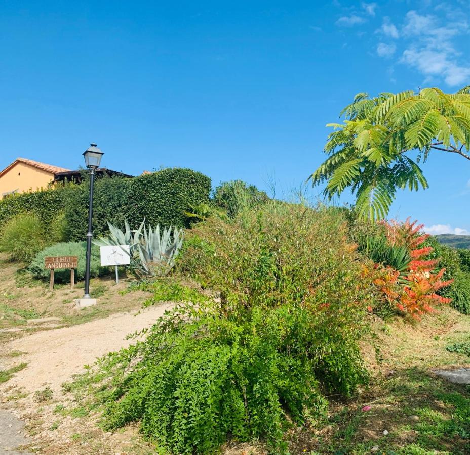 Agriturismo Annibale Tuoro sul Trasimeno Buitenkant foto